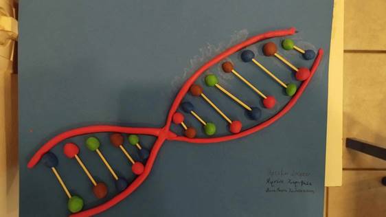 ΔΙΑΘΕΜΑΤΙΚΟ ΜΑΘΗΜΑ Β. ΕΙΚ. 1